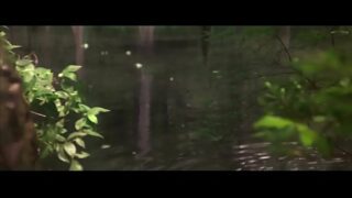 Adrienne Barbeau Displaying Tits Outdoor – Swamp Thing