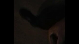 Walking with my dick out